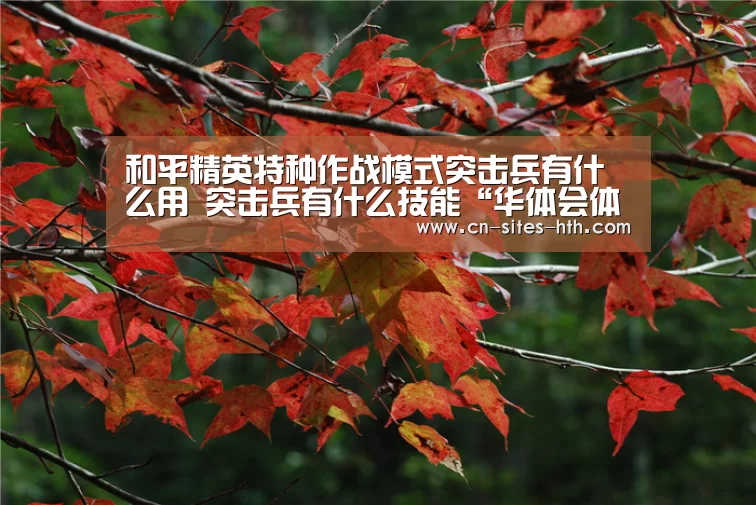 华体会体育