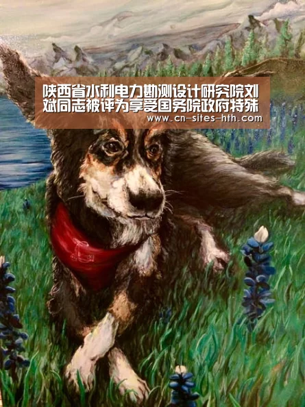 陕西省水利电力勘测设计研究院刘斌同志被评为享受国务院政府特殊津贴专家“华体会体育”(图4) 华体会体育