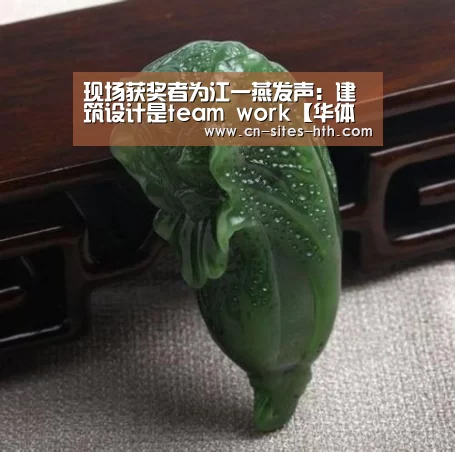 现场获奖者为江一燕发声:建筑设计是team work【华体会体育】(图2) 华体会体育
