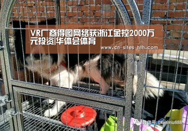 VR厂商得图网络获浙江金控2000万元投资|华体会体育(图4) 华体会体育