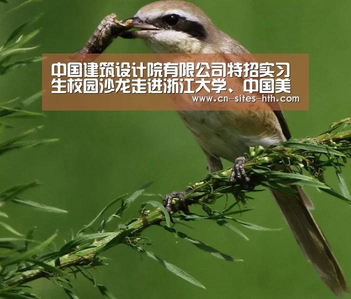 华体会体育