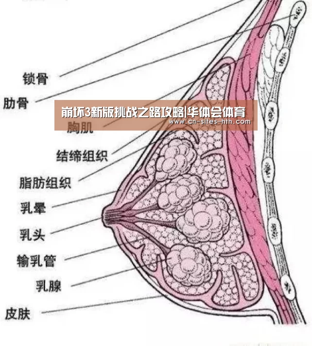 崩坏3新版挑战之路攻略|华体会体育(图3) 华体会体育
