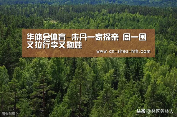 华体会体育-朱丹一家探亲 周一围又拉行李又抱娃(图3) 华体会体育