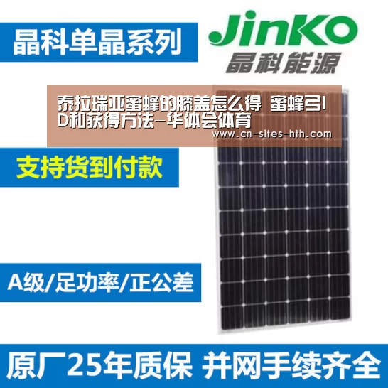 泰拉瑞亚蜜蜂的膝盖怎么得 蜜蜂弓ID和获得方法-华体会体育(图1) 华体会体育