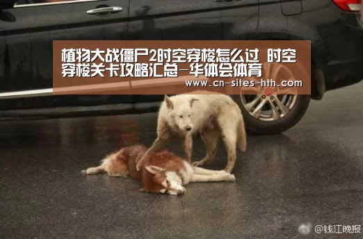 植物大战僵尸2时空穿梭怎么过 时空穿梭关卡攻略汇总-华体会体育(图1) 华体会体育