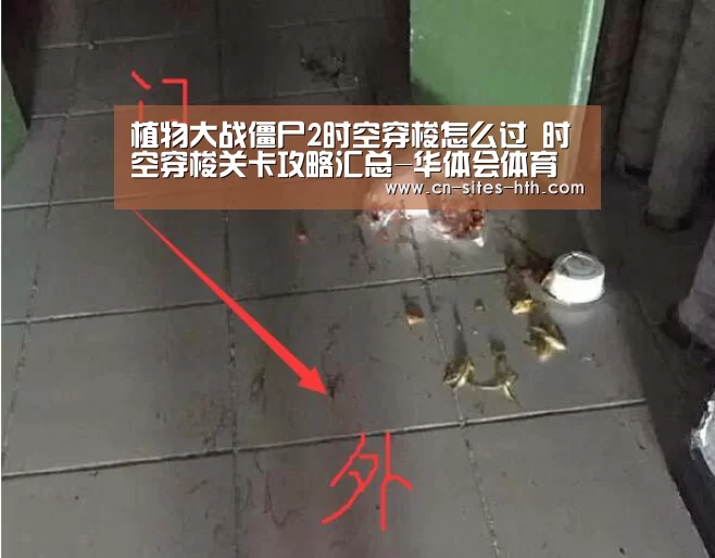 植物大战僵尸2时空穿梭怎么过 时空穿梭关卡攻略汇总-华体会体育(图4) 华体会体育