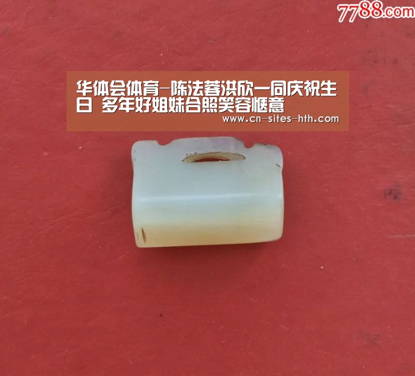 华体会体育-陈法蓉洪欣一同庆祝生日 多年好姐妹合照笑容惬意(图2) 华体会体育