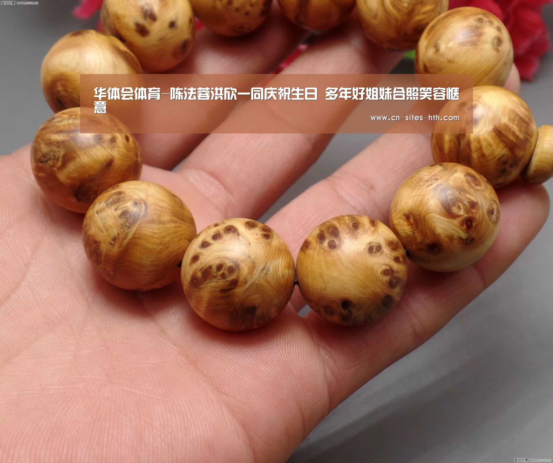 华体会体育-陈法蓉洪欣一同庆祝生日 多年好姐妹合照笑容惬意(图3) 华体会体育