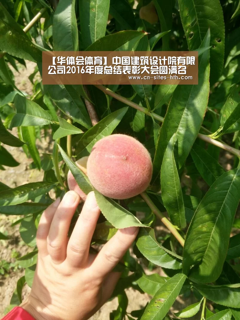 【华体会体育】中国建筑设计院有限公司2016年度总结表彰大会圆满召开(图2) 华体会体育