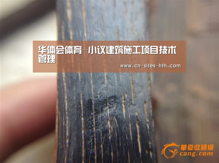 华体会体育