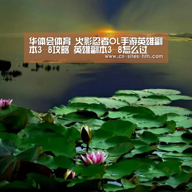 华体会体育_火影忍者OL手游英雄副本3-8攻略 英雄副本3-8怎么过(图4) 华体会体育