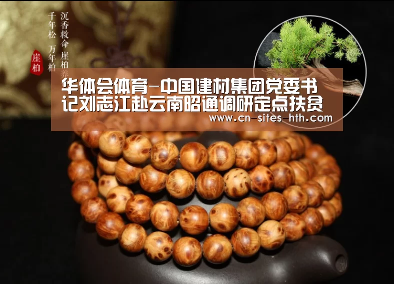 华体会体育-中国建材集团党委书记刘志江赴云南昭通调研定点扶贫工作(图3) 华体会体育