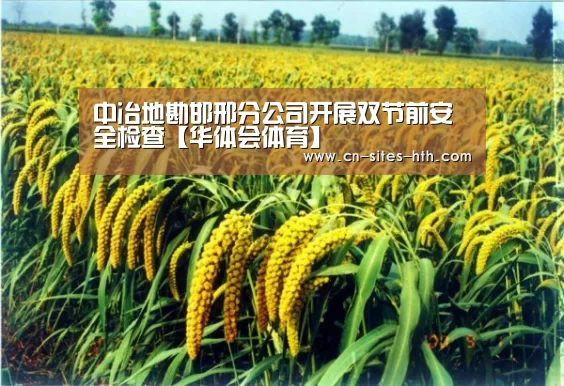 中冶地勘邯邢分公司开展双节前安全检查【华体会体育】(图1) 华体会体育