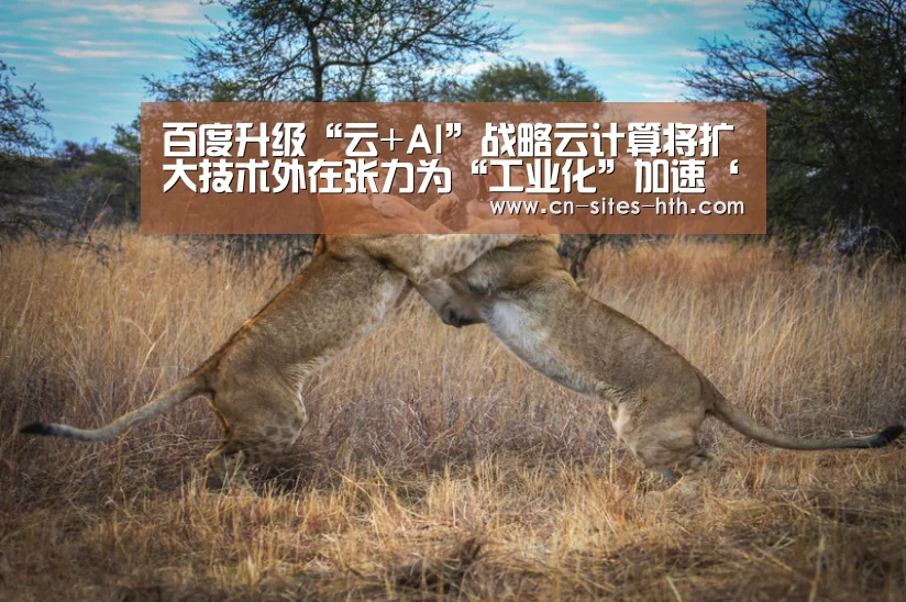 百度升级“云+AI”战略云计算将扩大技术外在张力为“工业化”加速‘华体会体育’(图2) 华体会体育